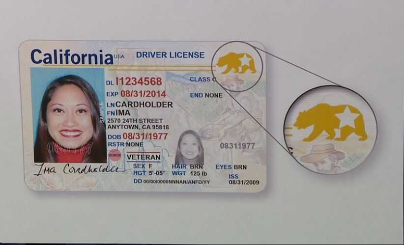 California Id Card Vs Driver's License
